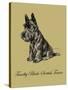 Timothy Black-Scottish Terrier-Lucy Dawson-Stretched Canvas