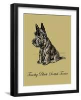 Timothy Black-Scottish Terrier-Lucy Dawson-Framed Art Print