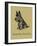 Timothy Black-Scottish Terrier-Lucy Dawson-Framed Art Print