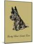 Timothy Black-Scottish Terrier-Lucy Dawson-Mounted Art Print