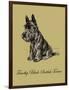 Timothy Black-Scottish Terrier-Lucy Dawson-Framed Art Print