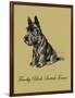 Timothy Black-Scottish Terrier-Lucy Dawson-Framed Art Print