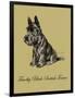 Timothy Black-Scottish Terrier-Lucy Dawson-Framed Art Print