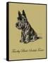 Timothy Black-Scottish Terrier-Lucy Dawson-Framed Stretched Canvas