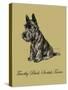 Timothy Black-Scottish Terrier-Lucy Dawson-Stretched Canvas