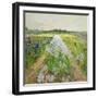 Black Frame
