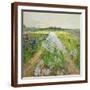 Brown Frame