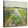 Stretched Canvas
