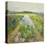 Stretched Canvas
