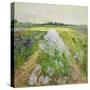Stretched Canvas