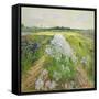 Canvas Black