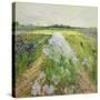 Stretched Canvas