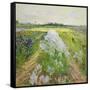Canvas Black