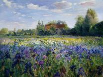 Evening Breeze-Timothy Easton-Framed Giclee Print