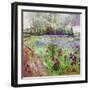 Black Frame