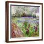 Brown Frame