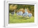 White Frame