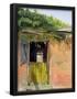 Essential Black