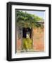 Chelsea Black