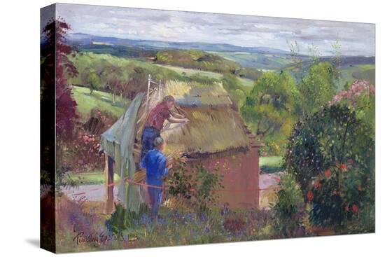 Stretched Canvas Print, , large