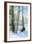 Brown Frame