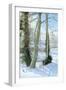 White Frame