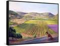 Canvas Black