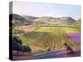 Stretched Canvas