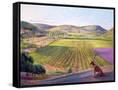 Canvas Black
