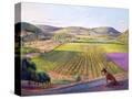 Stretched Canvas