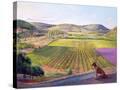 Stretched Canvas