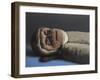 Timothy Monkey, 2016,-Peter Jones-Framed Giclee Print