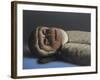 Timothy Monkey, 2016,-Peter Jones-Framed Giclee Print