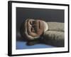 Timothy Monkey, 2016,-Peter Jones-Framed Giclee Print