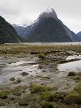 Low-Angle View of Mitre Peak, Stirling Falls, New Zealand-Timothy Mulholland-Photographic Print