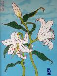 White lily on a blue background, 2010-Timothy Nathan Joel-Giclee Print
