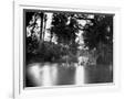 Gramercy White