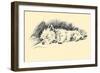 Timothy-Lucy Dawson-Framed Art Print