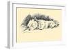 Timothy-Lucy Dawson-Framed Art Print