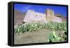 Tin Mal Mosque, Morocco-Vivienne Sharp-Framed Stretched Canvas