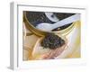 Tin of Black Caviar and Mother-Of-Pearl, Caviar Et Prestige, Saint Sulpice Et Cameyrac-Per Karlsson-Framed Photographic Print