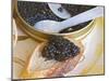 Tin of Black Caviar and Mother-Of-Pearl, Caviar Et Prestige, Saint Sulpice Et Cameyrac-Per Karlsson-Mounted Photographic Print