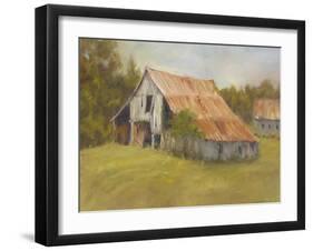 Tin Roof-Marilyn Wendling-Framed Art Print