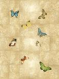 Butterflies on Silver I-Tina Blakely-Art Print