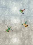 Hummingbirds on Gold II-Tina Blakely-Art Print