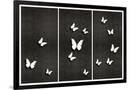 Gramercy Black