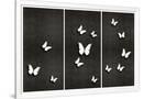Gramercy White