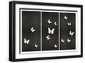 Black Frame