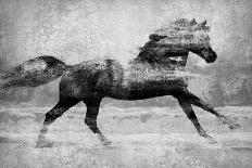 Running Horse Gold II-Tina Blakely-Art Print