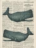 Sperm Whale-Tina Carlson-Art Print